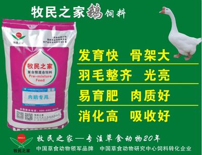 养殖优选 如何为您的鹅群挑选高品质饲料及值得信赖的厂家